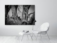 Load image into Gallery viewer, 4641830-1073391
