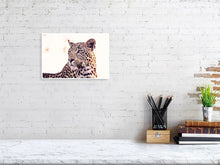 Load image into Gallery viewer, 4641895-1073462
