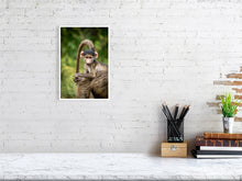 Load image into Gallery viewer, 6903639-1924897
