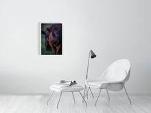 Load image into Gallery viewer, 4641877-1073436
