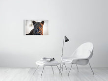 Load image into Gallery viewer, 4641899-1073429
