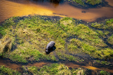 Load image into Gallery viewer, 6903684
