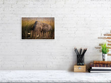 Load image into Gallery viewer, 4641852-1073404
