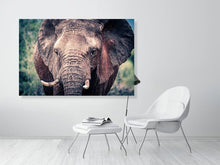 Load image into Gallery viewer, 4641867-1073419
