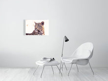 Load image into Gallery viewer, 4641895-1073463
