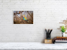 Load image into Gallery viewer, 6903654-1924843
